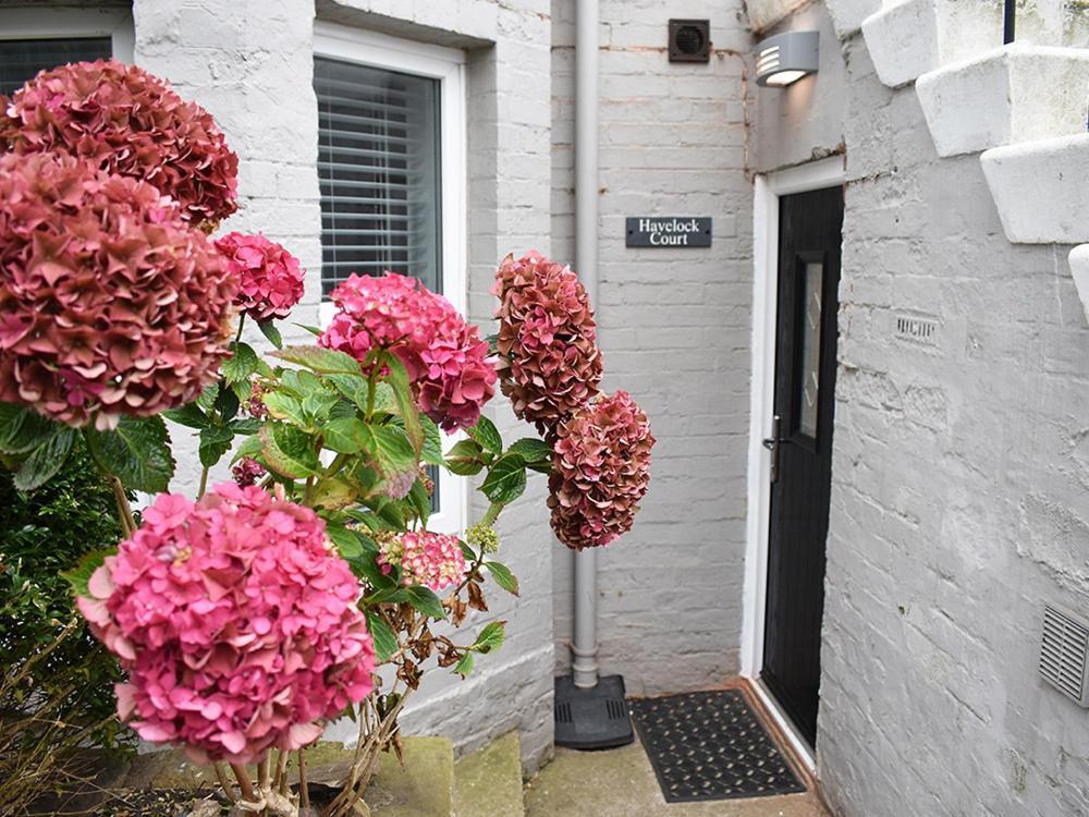 Havelock Court Apartment Whitby Exteriör bild